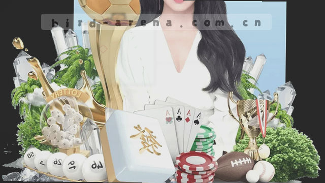 口袋优化，掌上体验